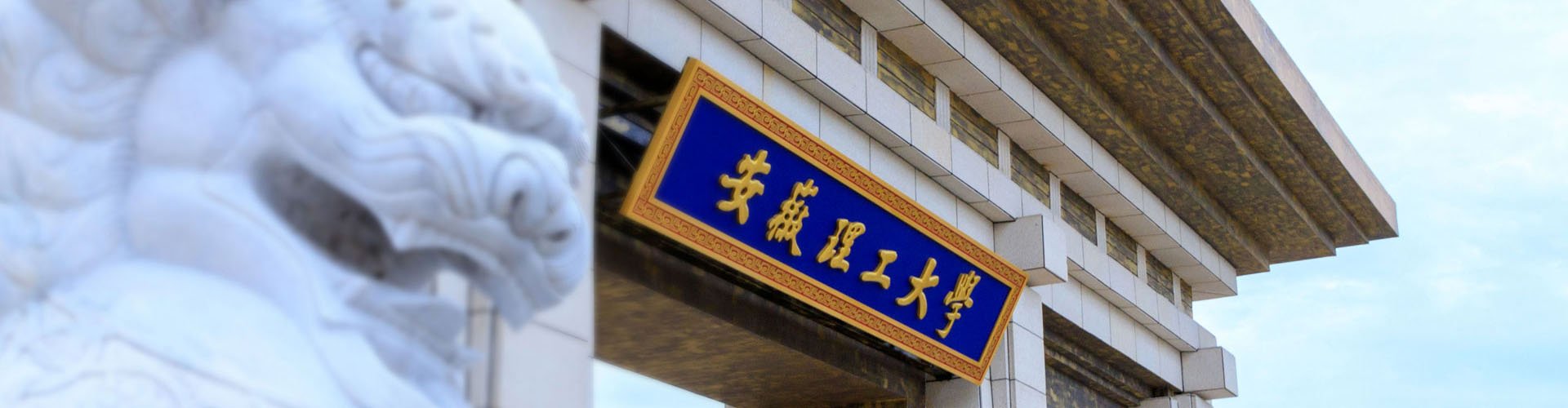 安徽省淮南市泰丰大街168号 金莎直